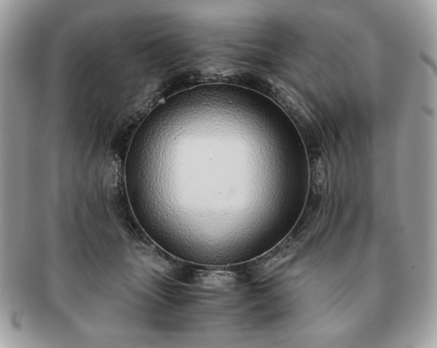 X0000091200463200708161618