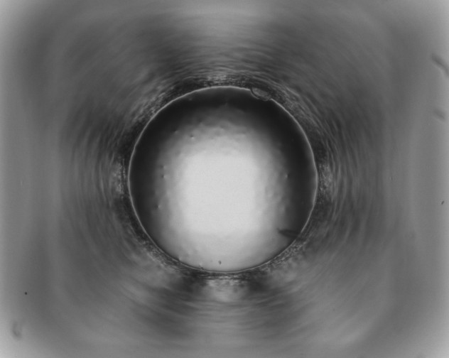 X0000091200470200708161618