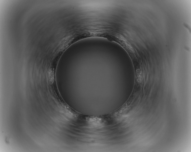 X0000091200471200708161618