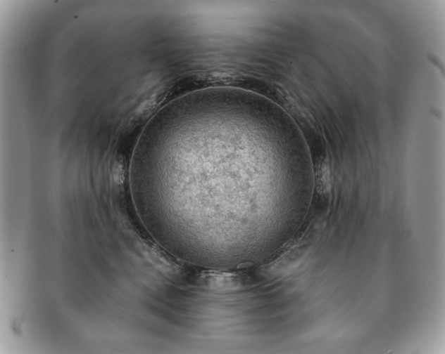 X0000091200472200708161618