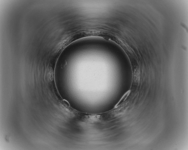X0000091200474200708161618