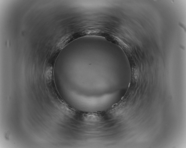 X0000091200475200708161618