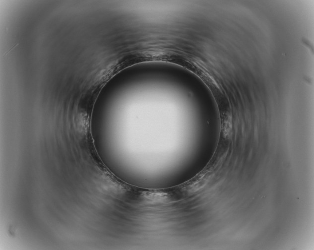 X0000091200476200708161618