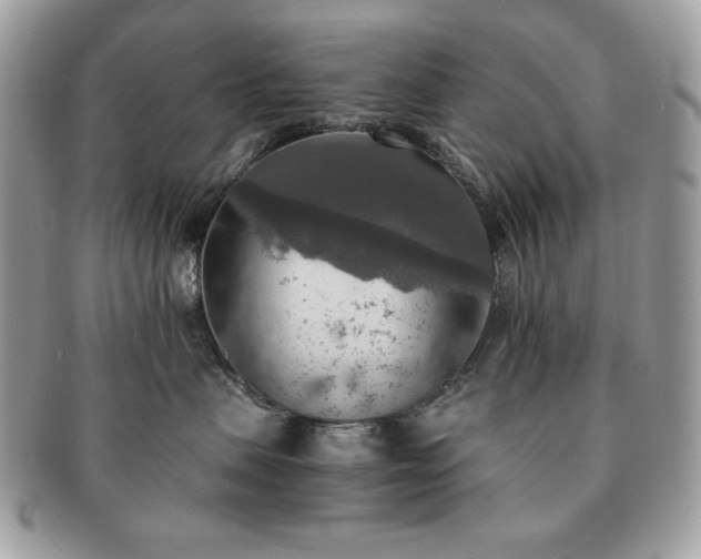 X0000091200479200708161618