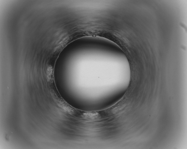 X0000091200480200708161618