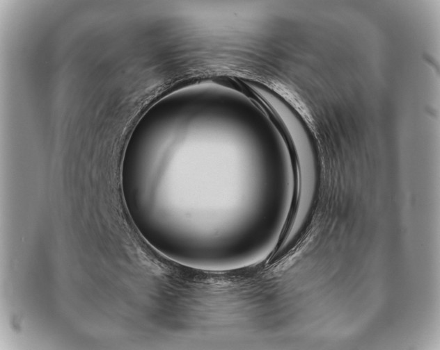 X0000091200481200708161617