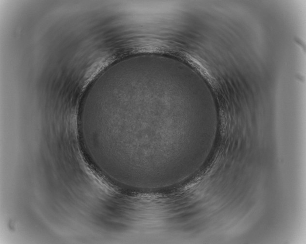 X0000091200482200708161617