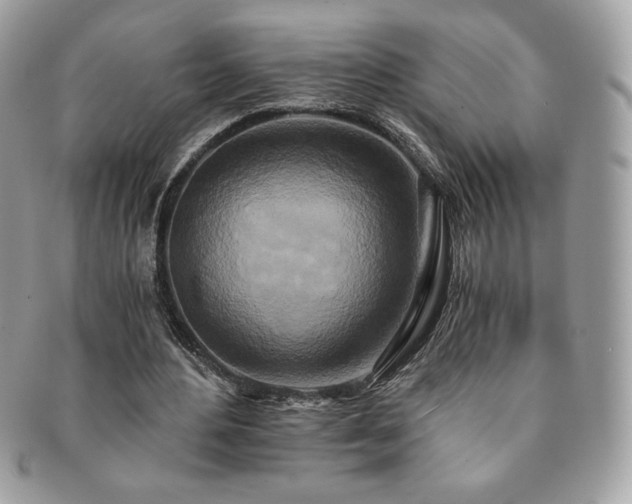 X0000091200484200708161617