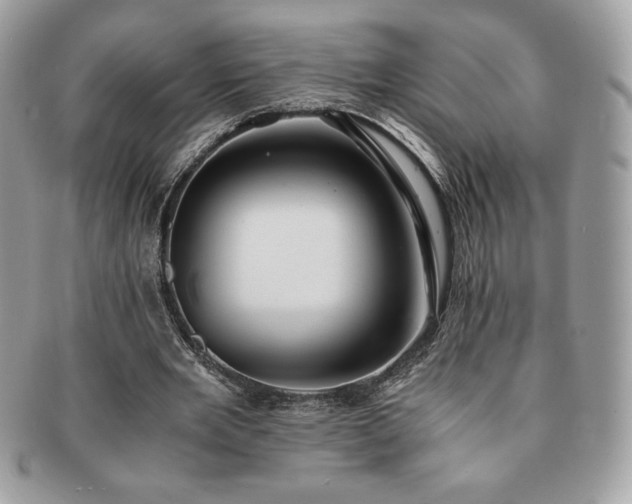 X0000091200485200708161617