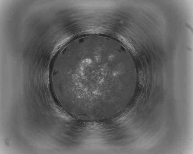X0000091200486200708161617