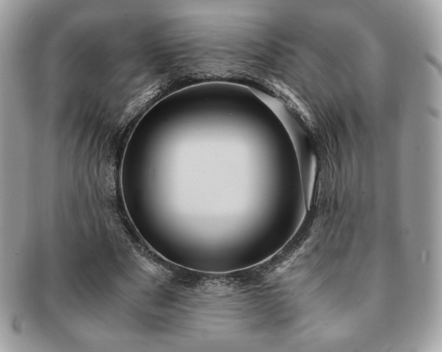 X0000091200489200708161617