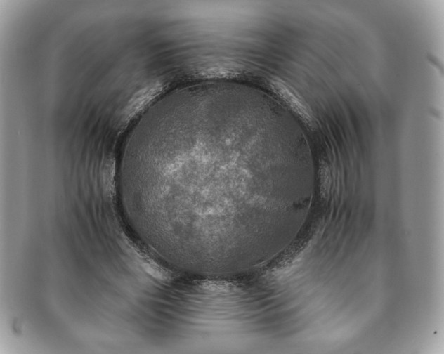X0000091200490200708161617