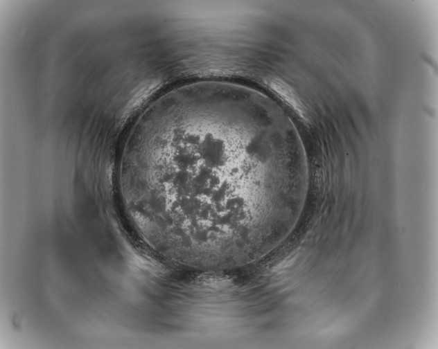 X0000091200491200708161617