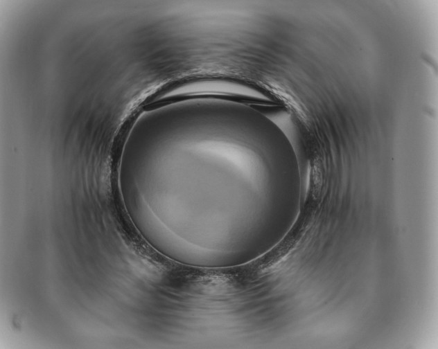 X0000091200492200708161617