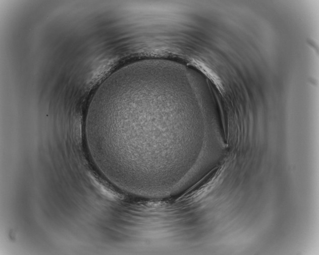 X0000091200493200708161617