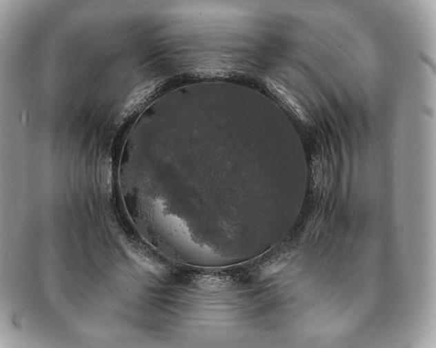 X0000091200494200708161617