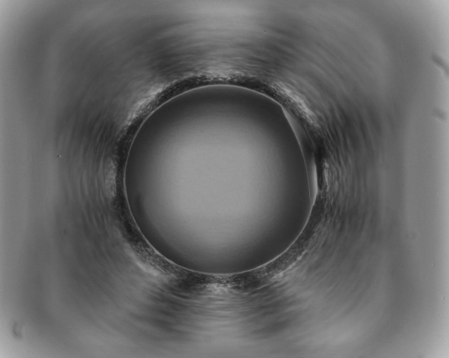 X0000091200496200708161617