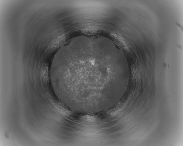 X0000091200498200708161617