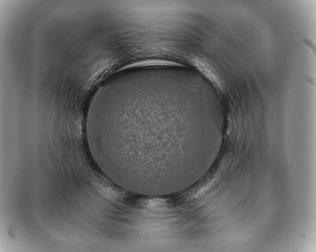 X0000091200501200708161617