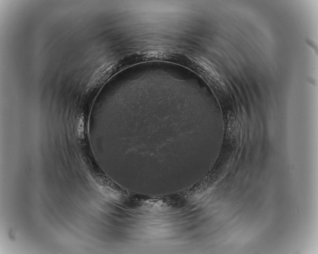 X0000091200502200708161617