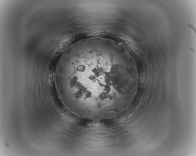 X0000091200503200708161617