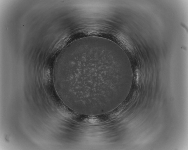 X0000091200506200708161617