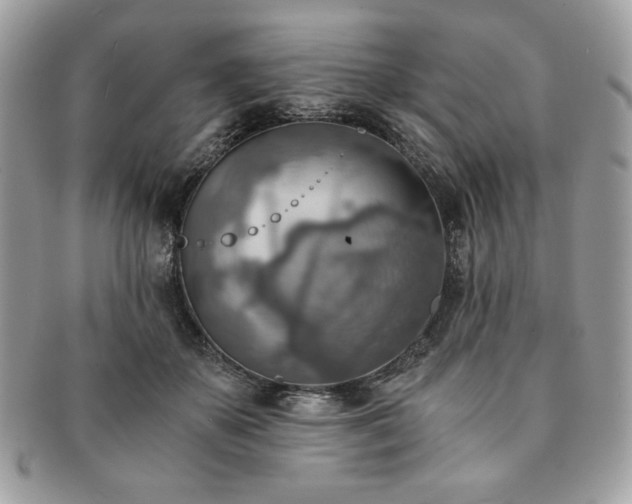 X0000091200507200708161617