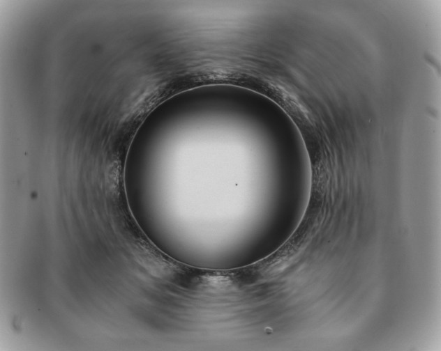 X0000091200509200708161617