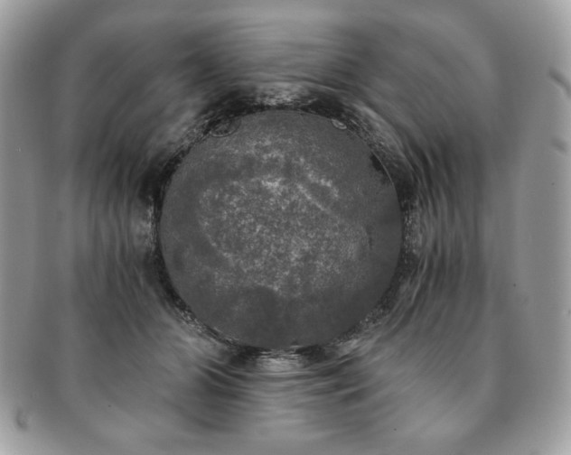 X0000091200510200708161617