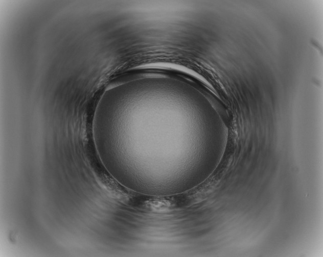X0000091200512200708161617