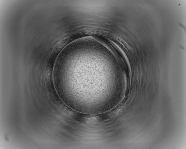 X0000091200513200708161617