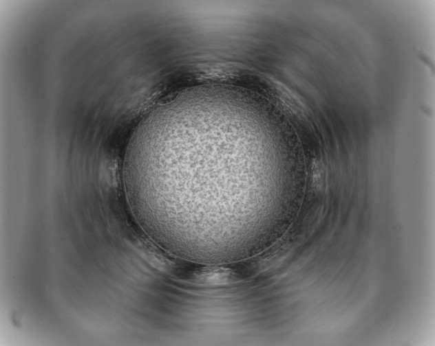 X0000091200514200708161617