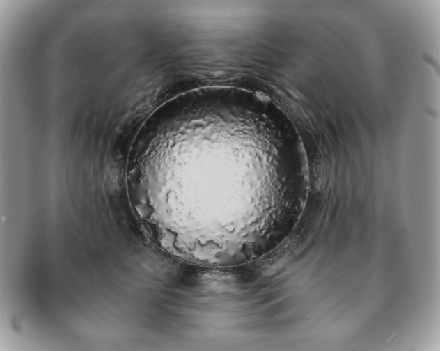 X0000091200515200708161617