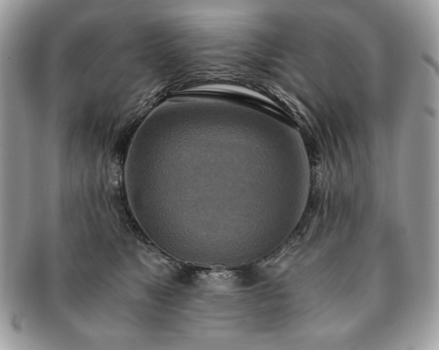 X0000091200517200708161617