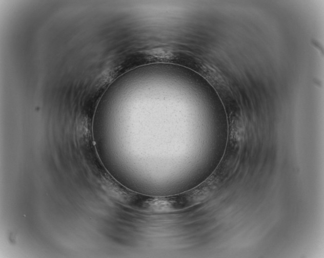 X0000091200518200708161617
