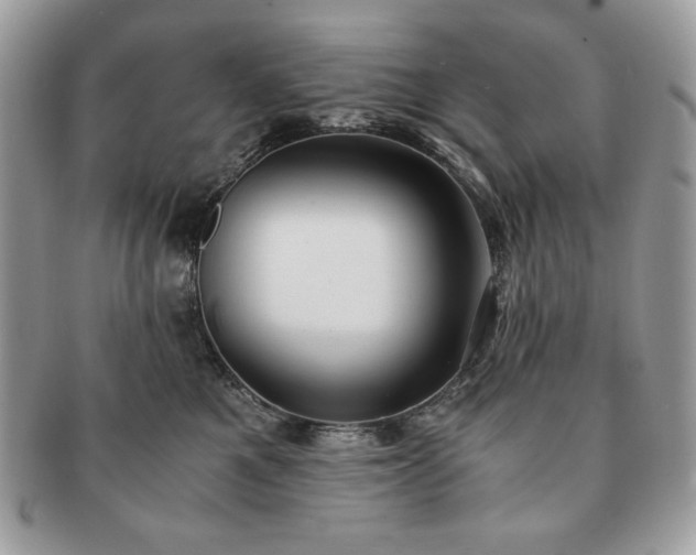 X0000091200521200708161617