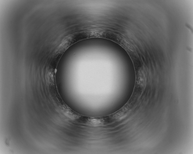 X0000091200522200708161617