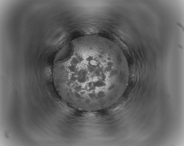 X0000091200523200708161617