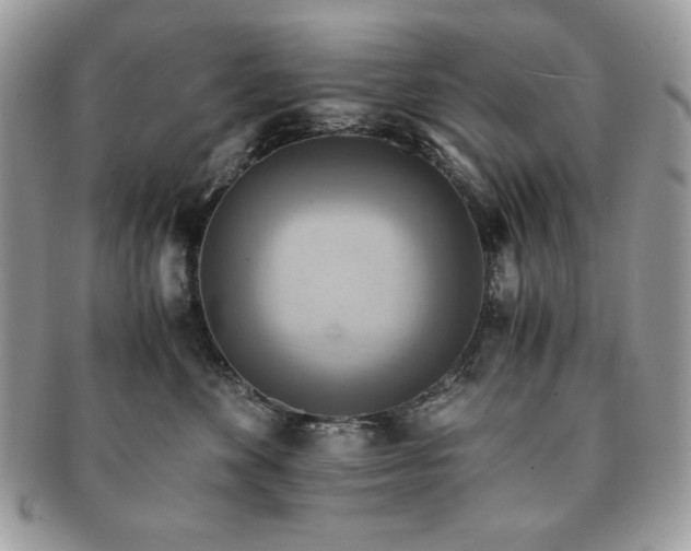 X0000091200524200708161617