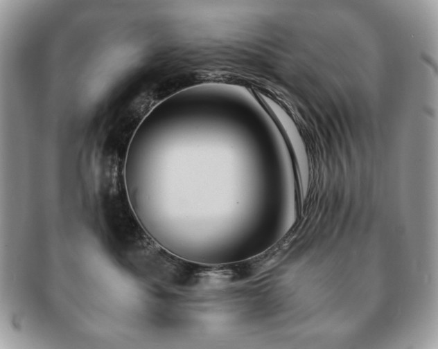 X0000091200525200708161617