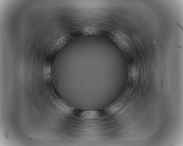 X0000091200526200708161617