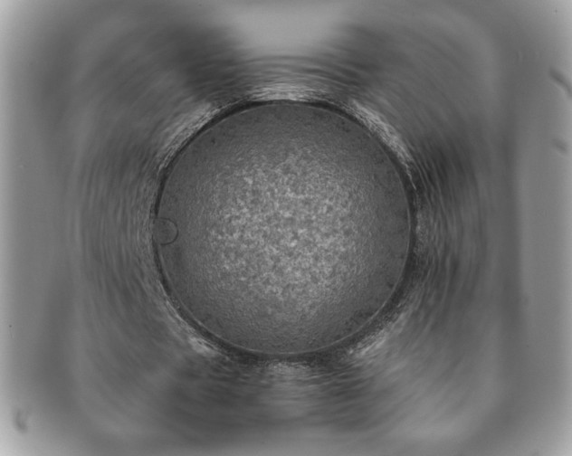 X0000091200529200708161616
