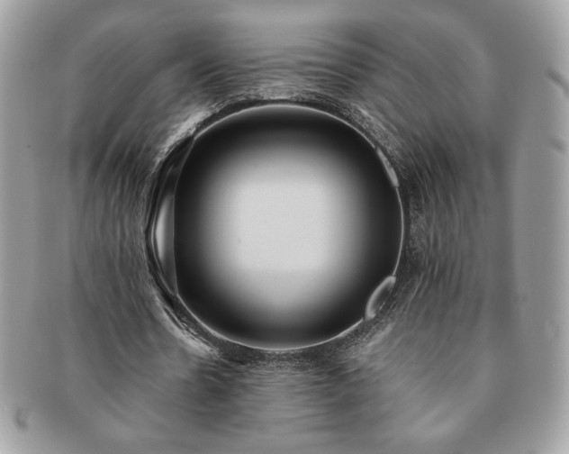 X0000091200530200708161616