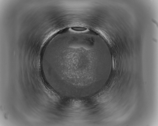 X0000091200531200708161616