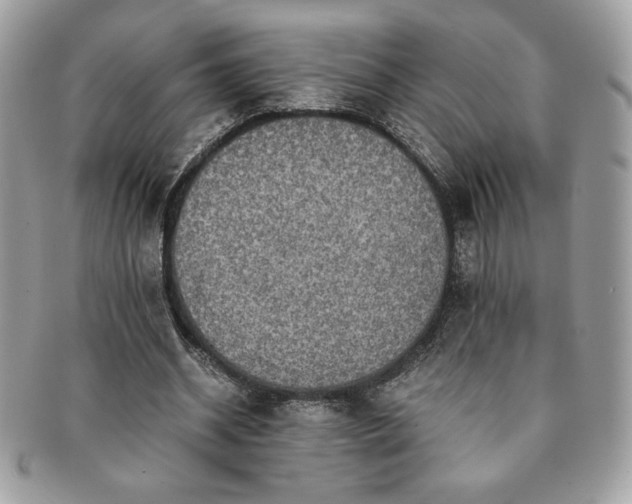 X0000091200534200708161616