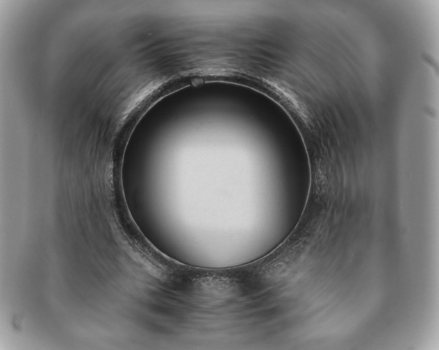 X0000091200535200708161616