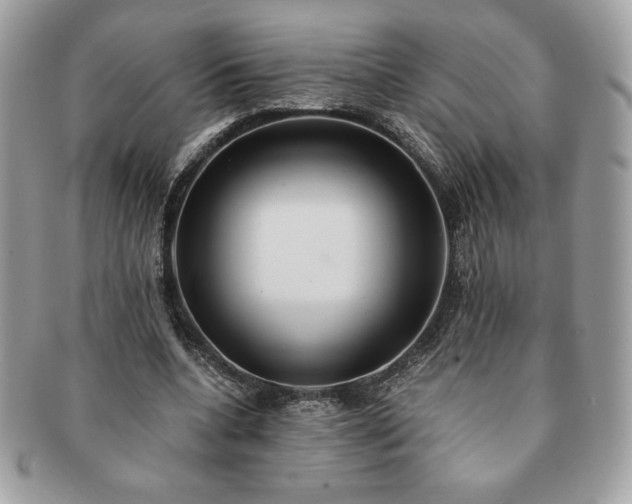 X0000091200536200708161616
