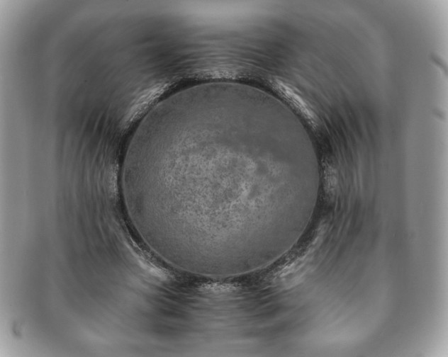 X0000091200537200708161616