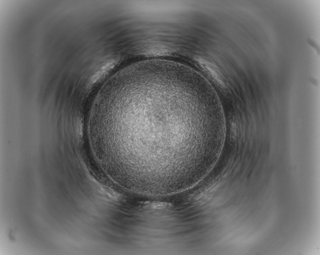 X0000091200539200708161616