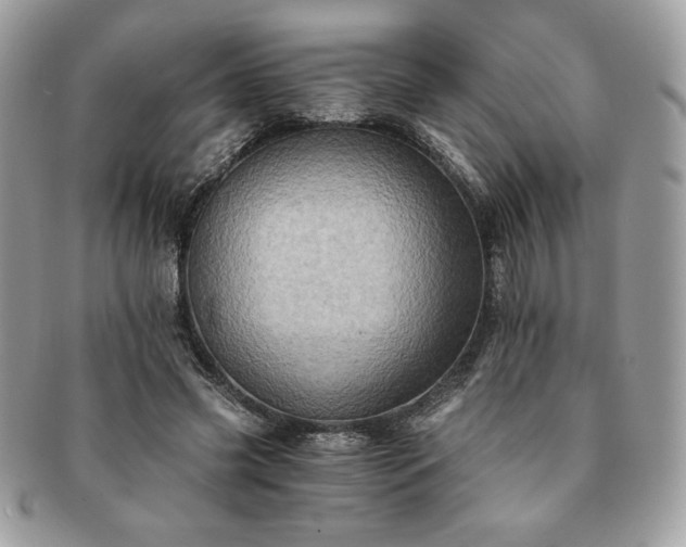 X0000091200541200708161616